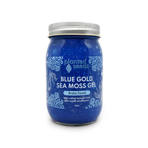 Blue Gold Sea Moss Gel - 16oz Jar | Planted Seeds
