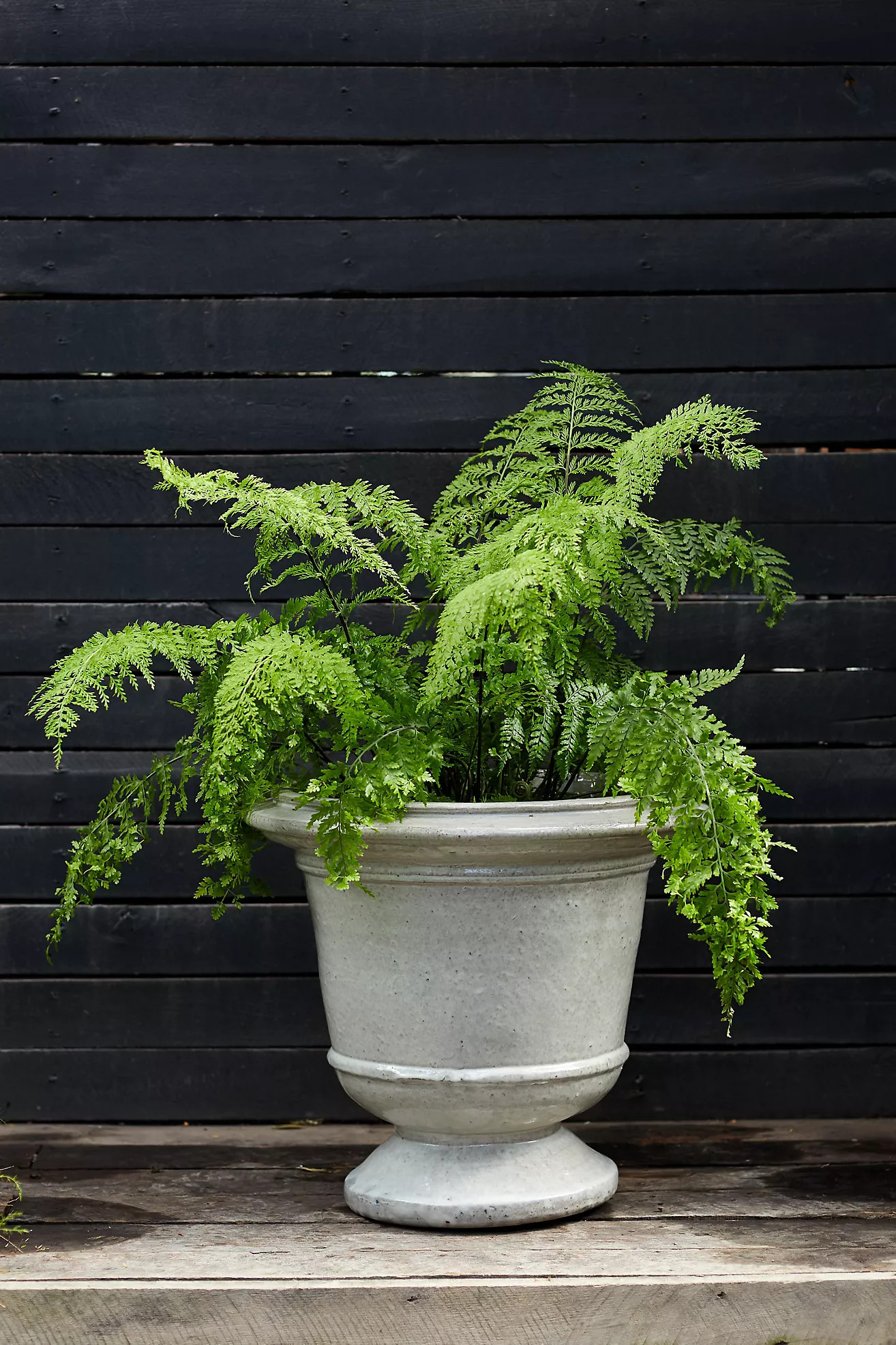 Aeros Ceramic Urn, 23" | Anthropologie (US)