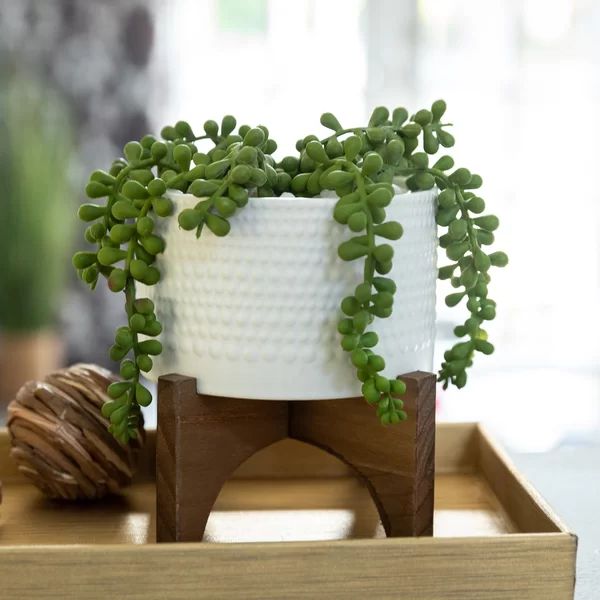 9'' Faux String Of Pearls Plant in Planter | Wayfair North America