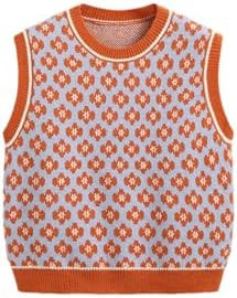 CIDER Sweater Vest Women Sleeveless Cropped Sweaters Cute Graphic Tank Tops Old Money Clothes Fal... | Amazon (US)