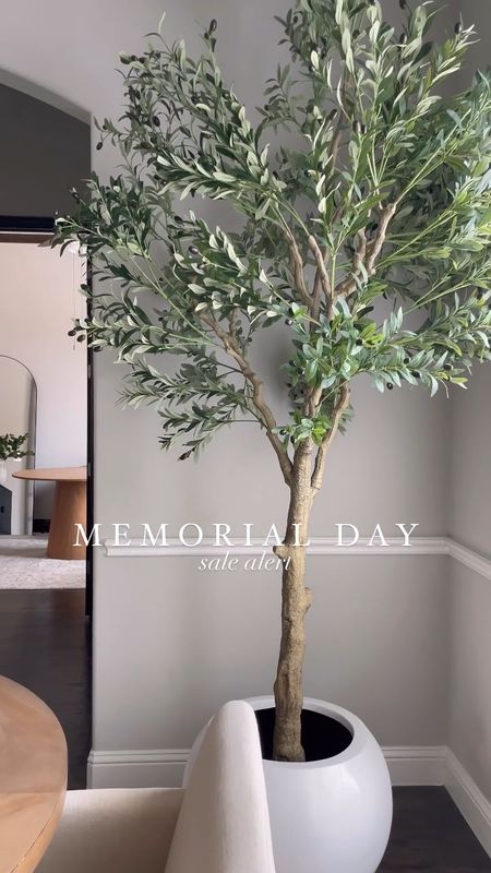 Our 10ft olive tree is currently on sale! You can also get the small trees as well. 

Living room inspiration, home decor, our everyday home, console table, arch mirror, faux floral stems, Area rug, console table, wall art, swivel chair, side table, coffee table, coffee table decor, bedroom, dining room, kitchen,neutral decor, budget friendly, affordable home decor, home office, tv stand, sectional sofa, dining table, affordable home decor, floor mirror, budget friendly home decor, dresser, king bedding, oureverydayhome 

#LTKSaleAlert #LTKVideo #LTKFindsUnder50