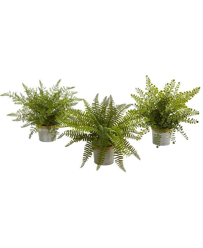 Nearly Natural 14'' Assorted Ferns with Planter Artificial Plant, Set of 3 & Reviews - Artificial... | Macys (US)
