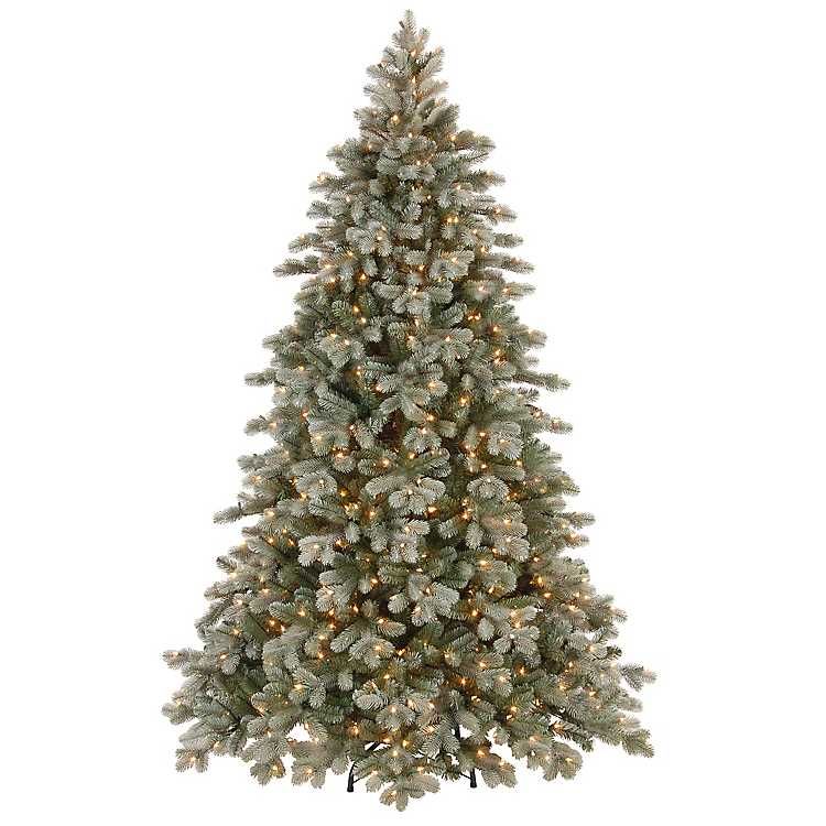 7.5 ft. Lit Frosted Colorado Spruce Christmas Tree | Kirkland's Home