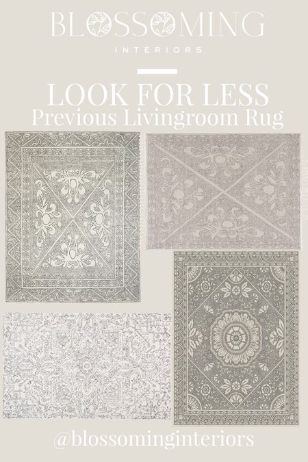 And here is the look for less options for the previous rug we had in our livingroom. The first one is the rug we had and the others listed are the look for less. 

#LTKhome