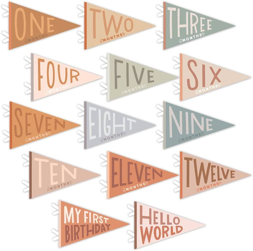 Lucy Darling Petit Milestone Pennants, 12 Felt Baby Monthly Milestone Banners for Baby Girl & Boy... | Amazon (US)