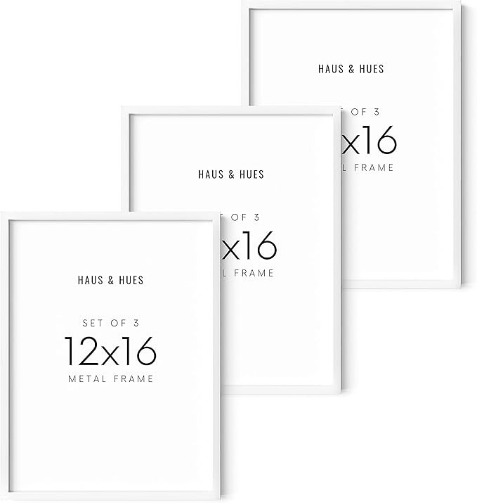 HAUS AND HUES Picture Frame, White 12x16, Metal, Gallery Wall Frame Set, Premium Acrylic, Lightwe... | Amazon (US)