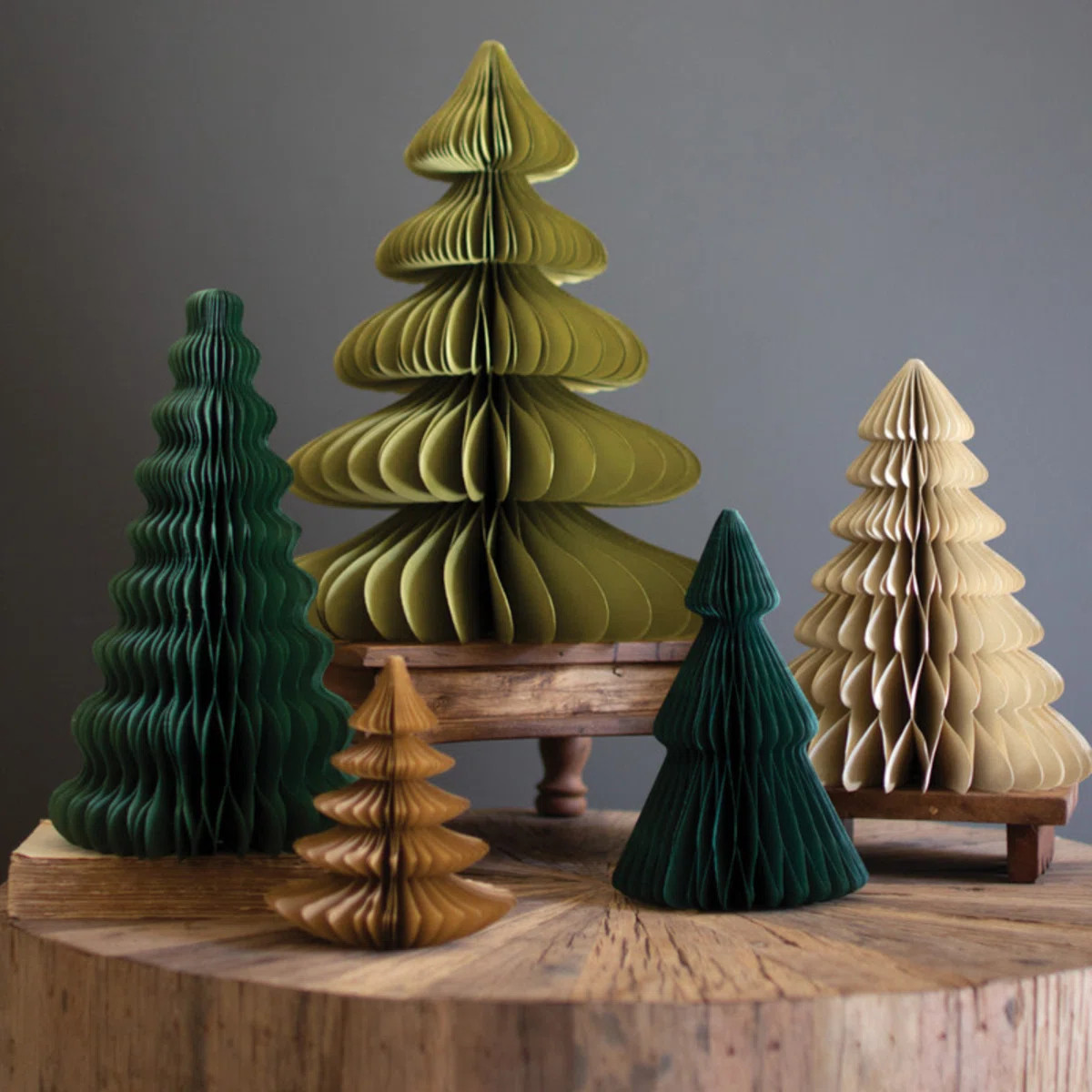 Set of Five Paper Accordion Christmas Trees \u2013 One Each Style | Wayfair North America