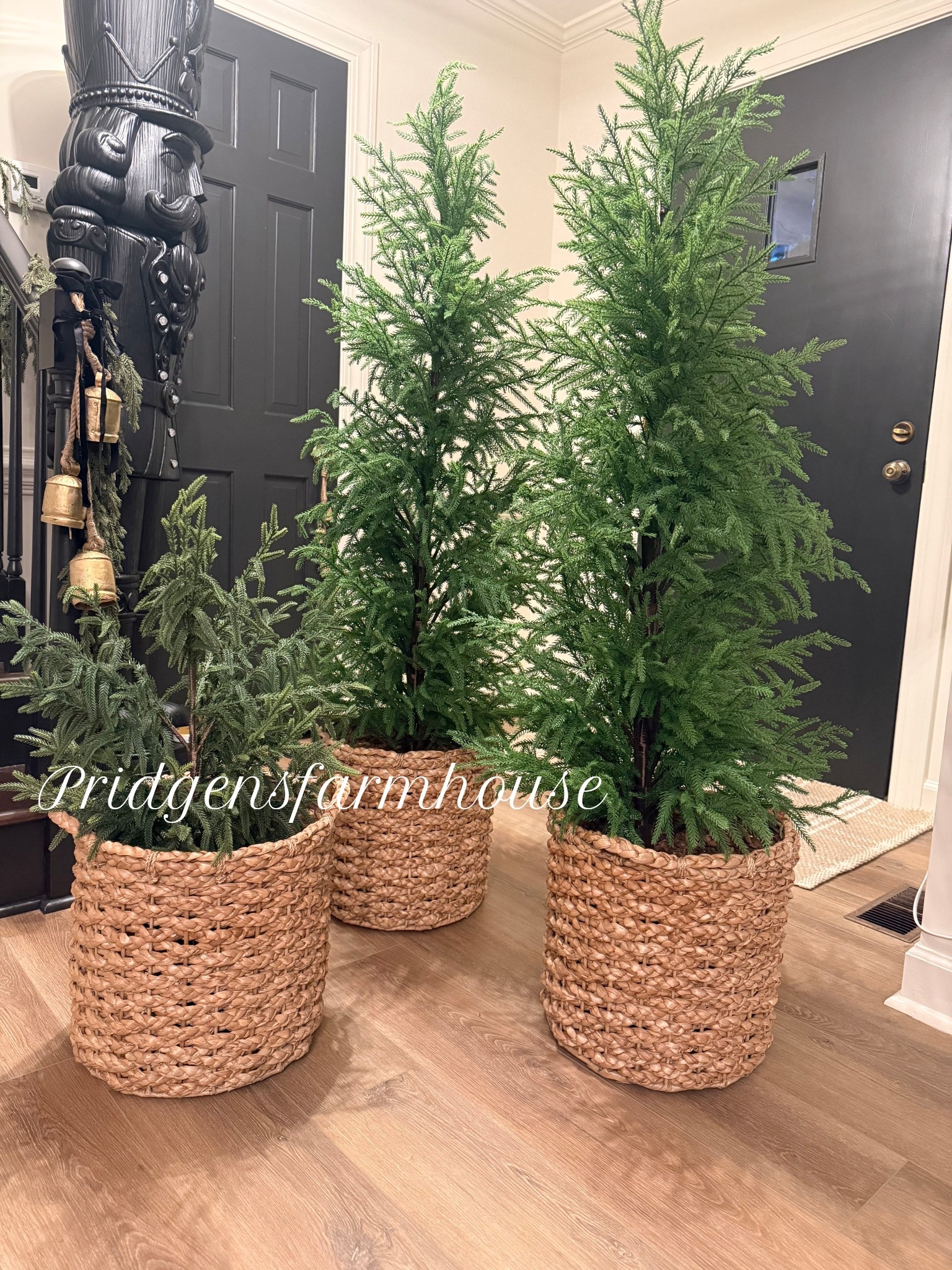 When you find Norfolk pine trees at an amazing price, you grab two 👏
Styled in Target baskets for an easy, affordable way to add warmth and texture to your home. So good for the price! Linked here 🤍

#LTKhome
#LTKfinds
#LTKunder100
#LTKunder50
#LTKTarget
#TargetFinds
#TargetHome
#HomeDecorFinds
#AffordableHome
#FarmhouseStyle
#ModernFarmhouse
#CozyHome
#NeutralHome
#GreeneryDecor
#NorfolkPine
#ChristmasDecor
#SeasonalDecor
#HomeStyling
#DecorInspo

#LTKHoliday #LTKGiftGuide #LTKHome