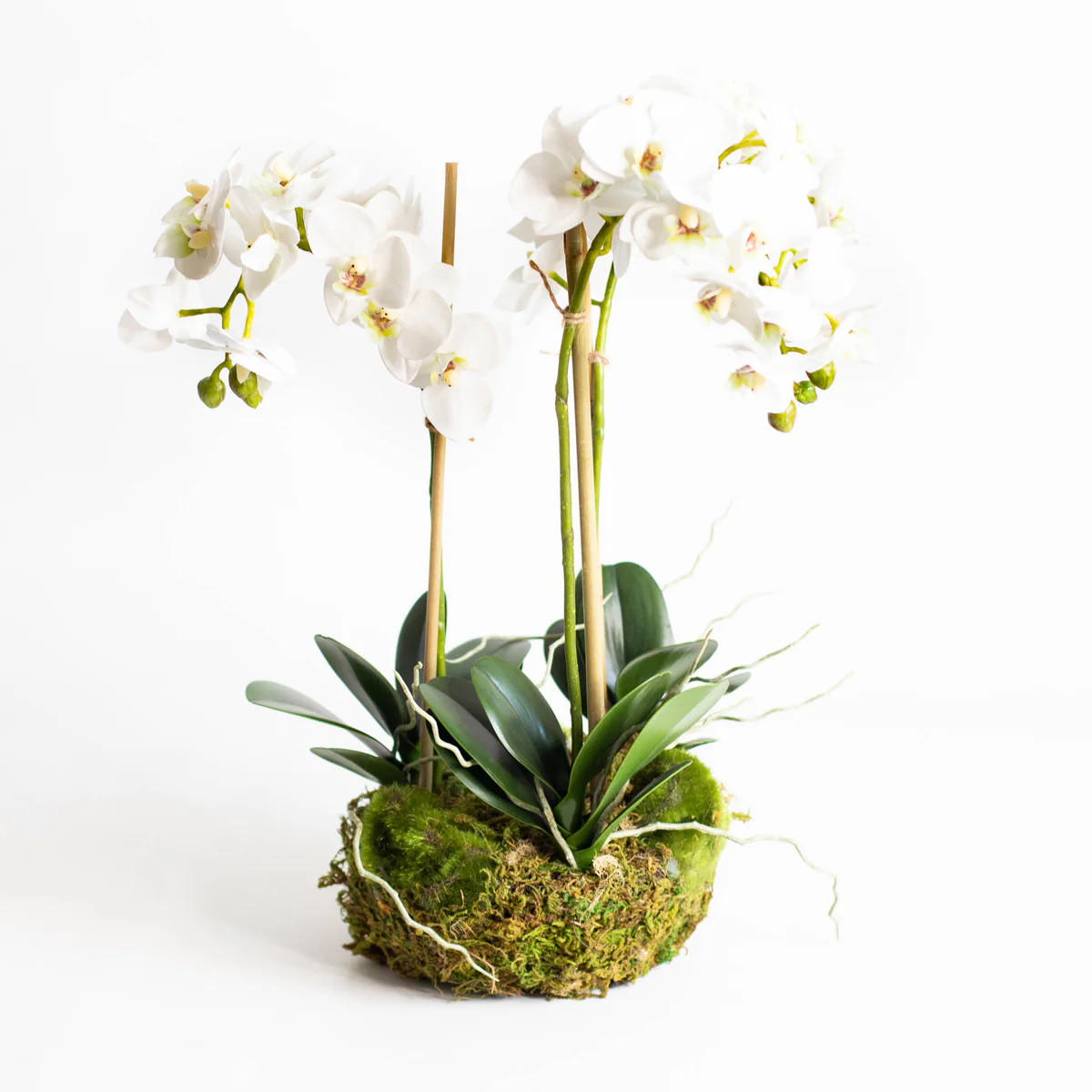 16" Faux Orchid Drop-In | Susan Gordon Pottery