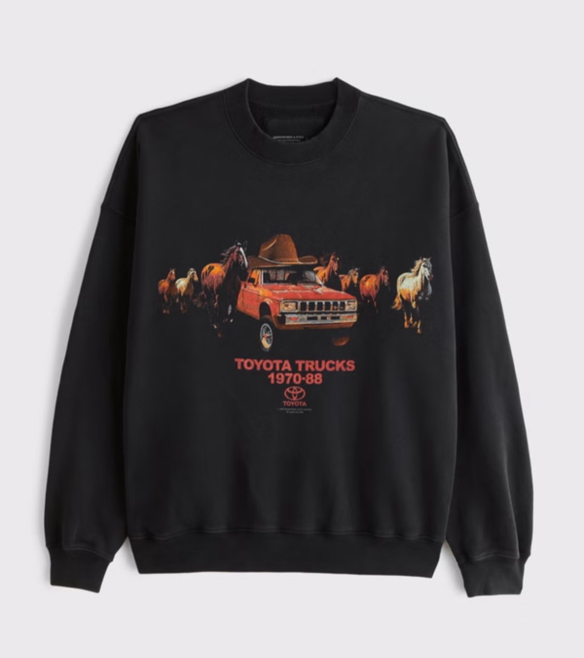 Graphic sweatshirt A&F. Best sweatshirts ever. Size up one for oversized baggy look 

#LTKHoliday #LTKSaleAlert #LTKCyberWeek
