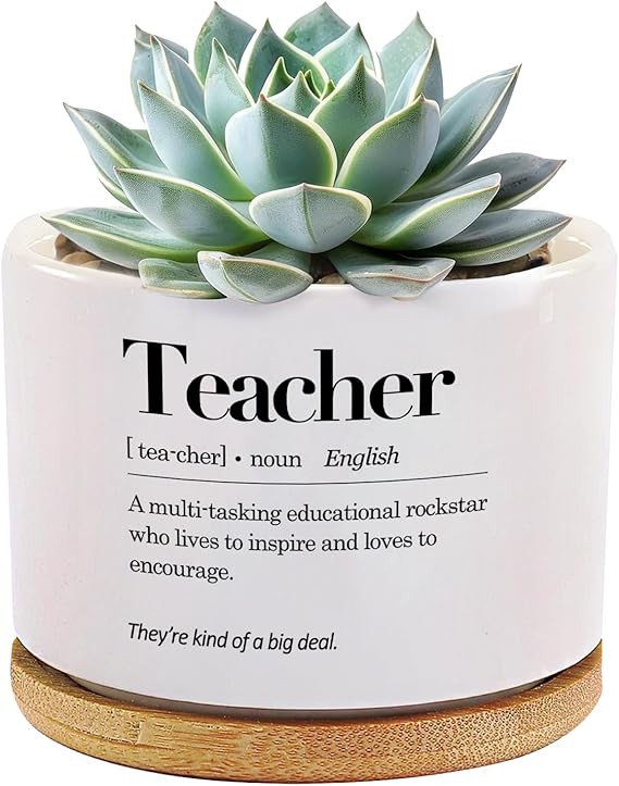 Teacher Definition Ceramic Succulent Plant Pot with Bamboo Tray Round Teacher Appreciation Gifts ... | Amazon (US)