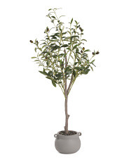 3ft Olive Tree In Stone Pot With Handles | Home | T.J.Maxx | TJ Maxx