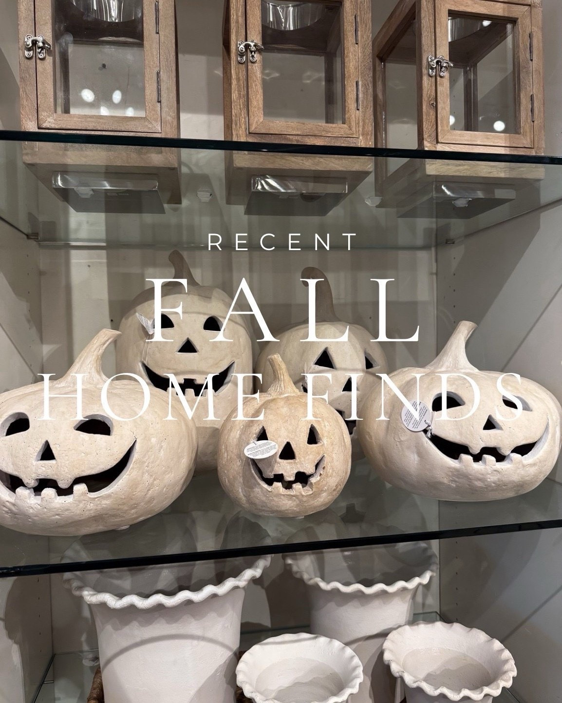 Recent fall home finds I’m loving!

Terracotta pumpkins, fall florals, Halloween decor, Halloween tabletop, throw blanket, quilt, wreath 

#LTKFindsUnder50 #LTKHome #LTKStyleTip

#LTKSeasonal #LTKHome