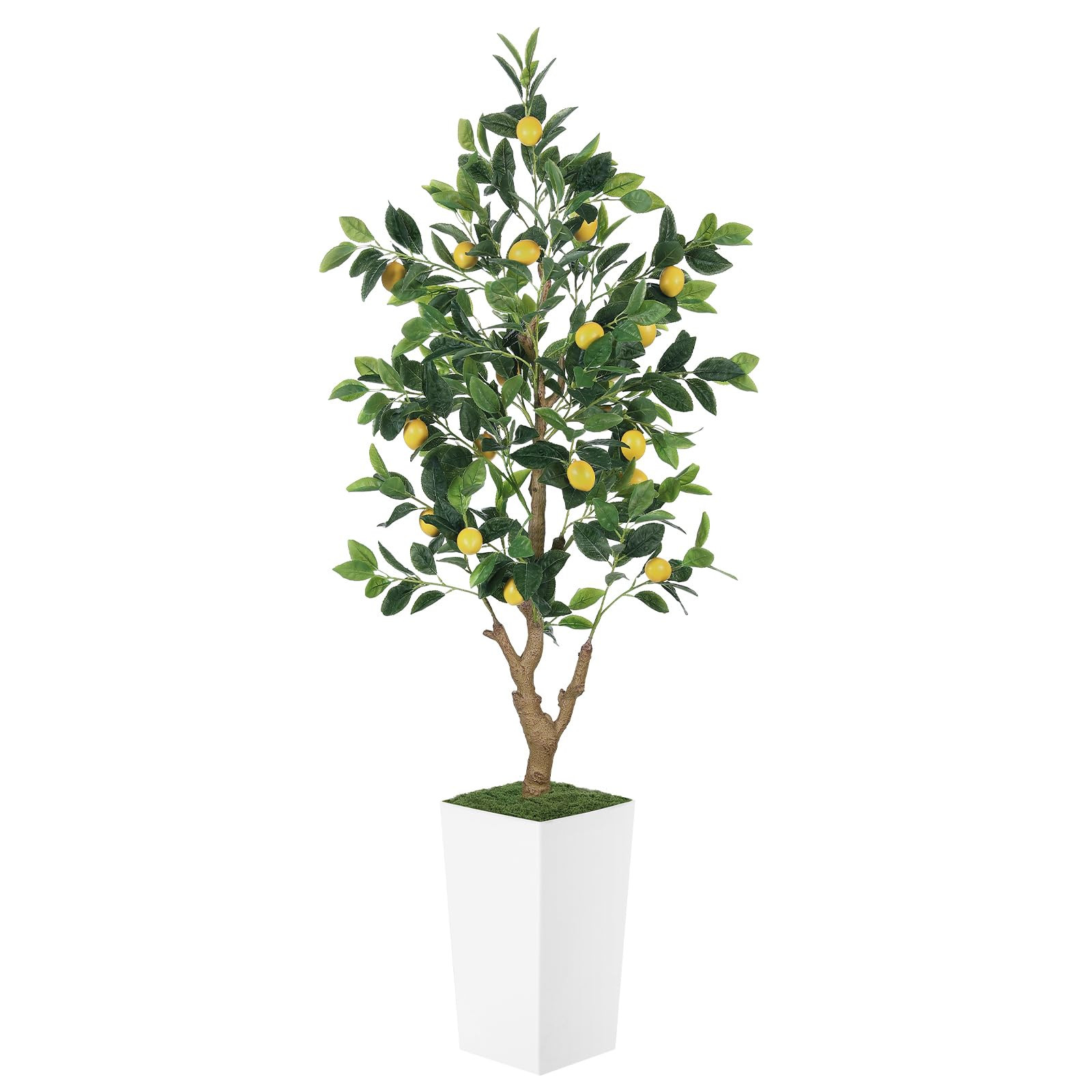 5FT Artificial Lemon Tree with Pot - 60" Fake Lemon Tree with White Tall Planter, Faux Lemon Plant with Realistic Fruits and Silk Leaves, Artificial Plants Indoor for Home Office Kitchen Decor | Amazon (US)