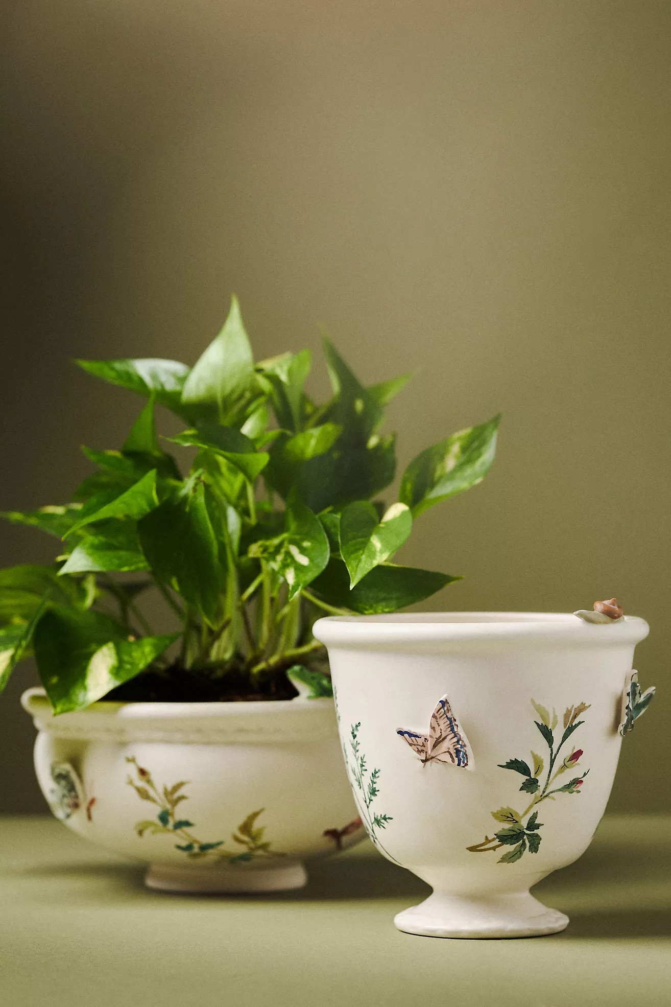 Gardenia Stoneware Pot | Anthropologie (US)