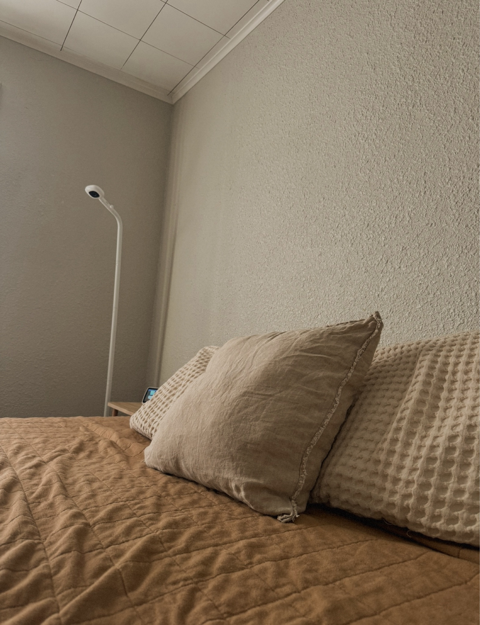 Cozy Bedding 🧸

#LTKFindsUnder50 #LTKFindsUnder100 #LTKHome