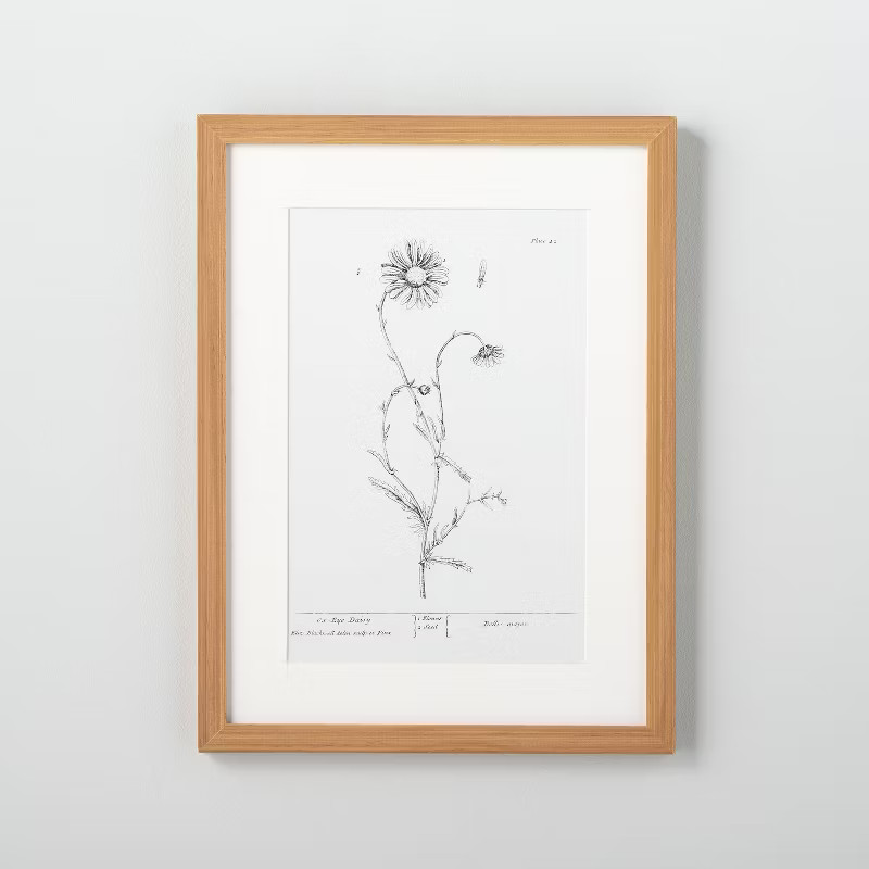 12" x 16" Ox Daisy Floral Wall Art - Hearth & Hand™ with Magnolia | Target