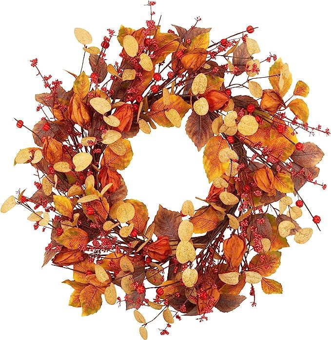 VGIA 18 Inch Fall Wreath Front Door Wreath with Cape Gooseberries Artificial Autumn Wreath with F... | Amazon (US)