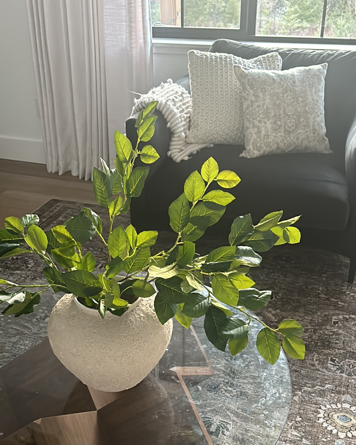 Spring greenery and pillows

#LTKHome #LTKFindsUnder50 #LTKSpringSale