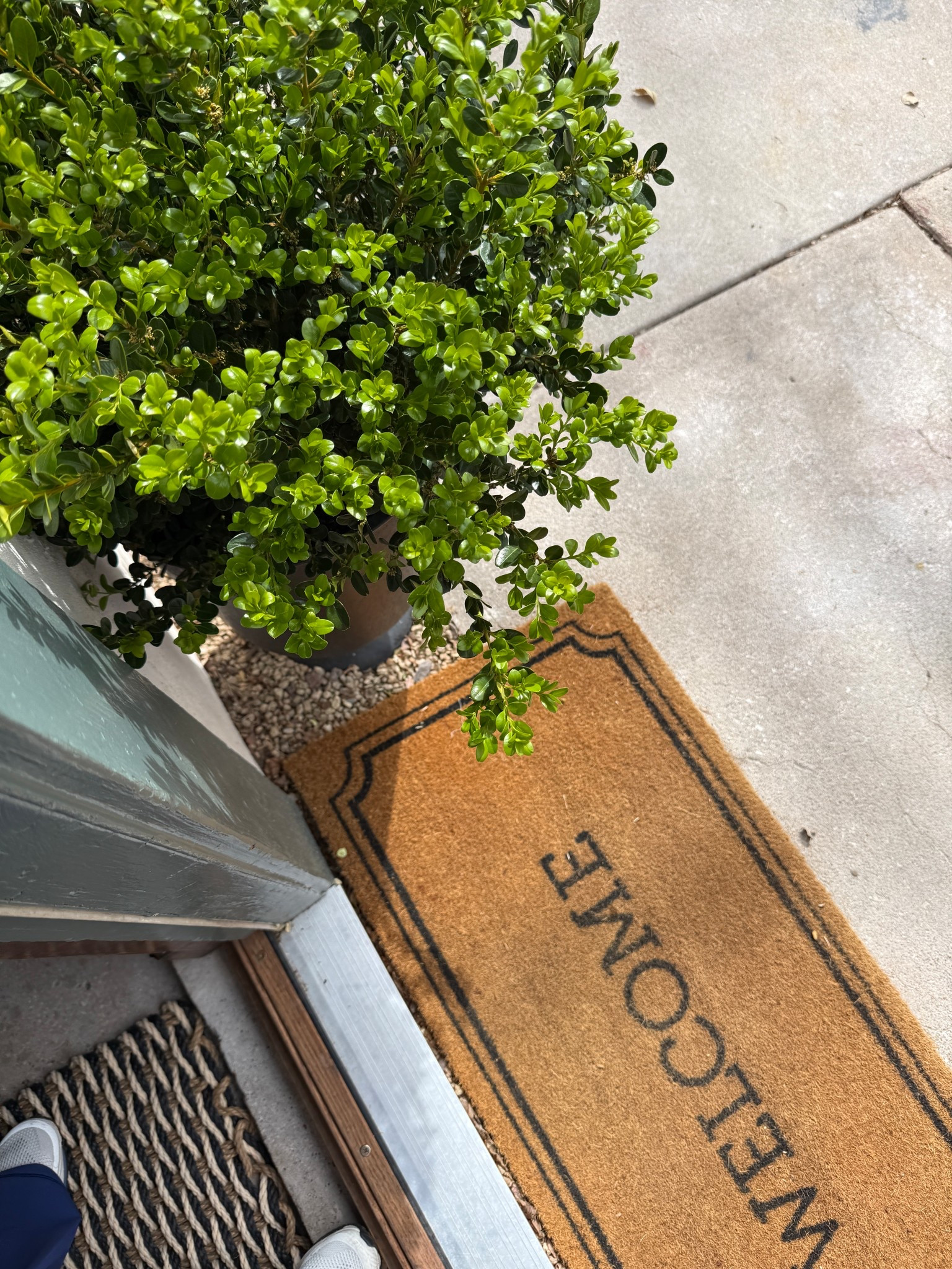 Sharing some cute welcome mats and outdoor rugs. I have faux boxwoods styled around the front porch at my house and they’ve held up so well through the seasons!

#LTKdayinmylife #LTKHome #LTKSeasonal
