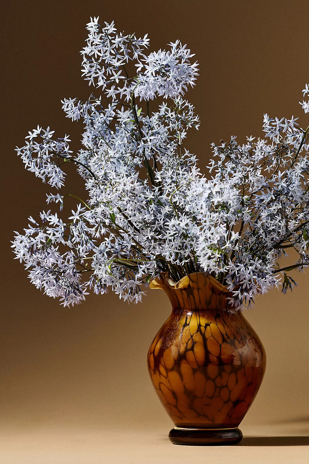 Colette Glass Vase | Anthropologie (US)