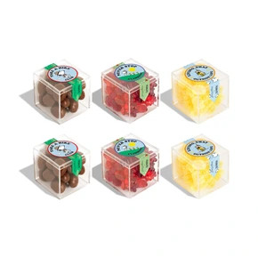 Camp with Snoopy Candy Cube Collection | Sugarfina