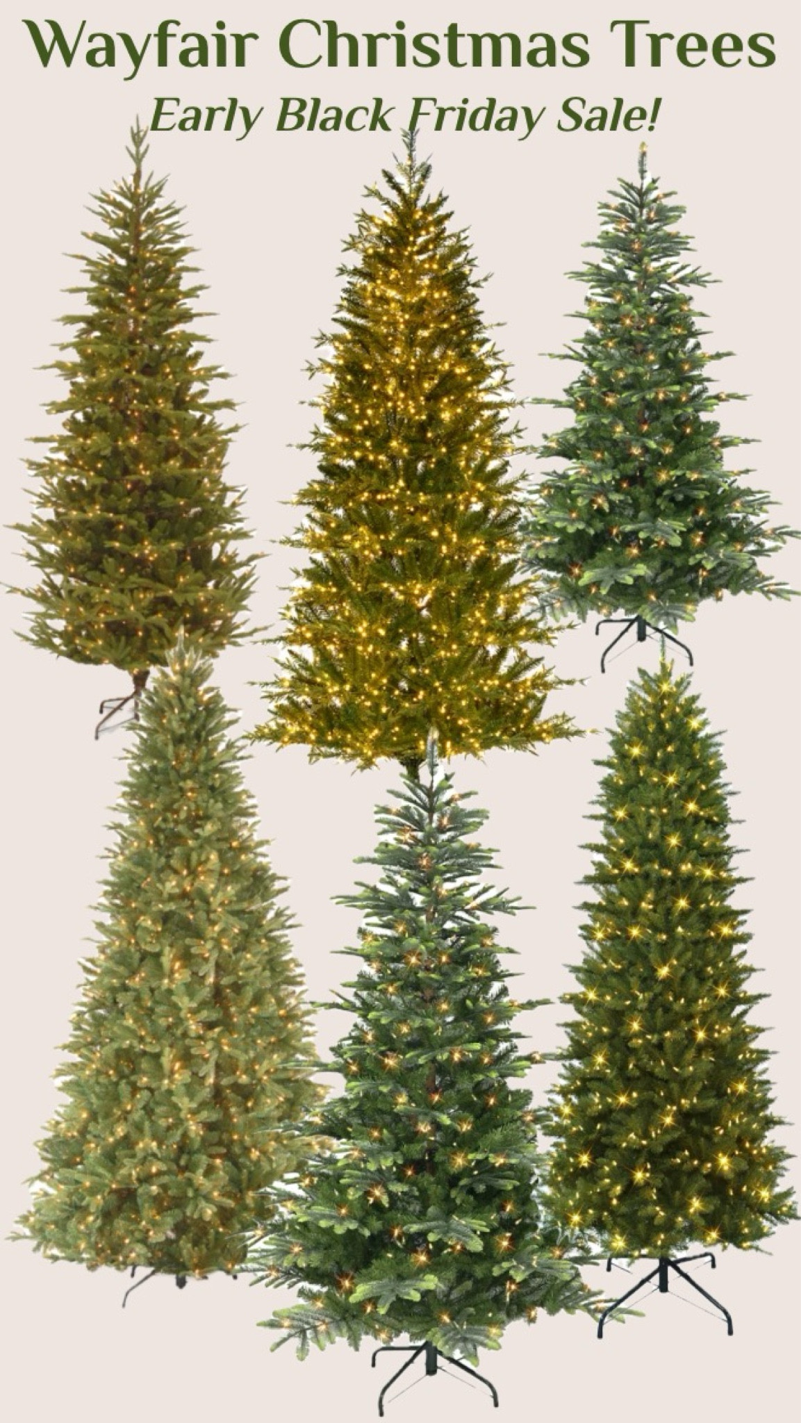 Wayfair Christmas trees! Several on sale now! 
………..
7 foot christmas tree 12 foot christmas tree prelit Christmas tree flocked christmas tree realistic christmas tree under $200 christmas tree under $300 christmas tree under $500 slim christmas tree full christmas tree viral christmas tree mayfair finds christmas decor christmas decorations LED christmas tree

#LTKFamily #LTKHoliday #LTKHome