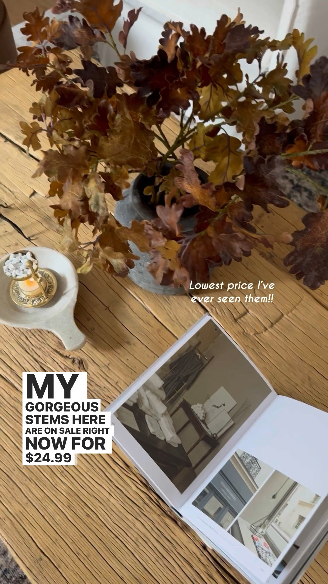 Lowest price ever on these beautiful faux fall stems!! They’re the perfect warm brown tone, love them so much! 

#LTKfindsunder50 #LTKhome #LTKsalealert #LTKSale