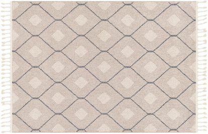 Bexxi Rug, Taupe/Gray | One Kings Lane