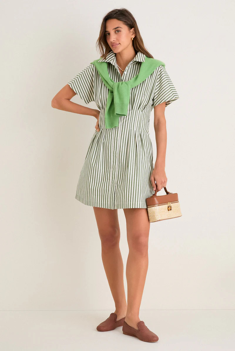 Jardin Stripe Cotton Poplin Mini Callie Dress | Tuckernuck (US)