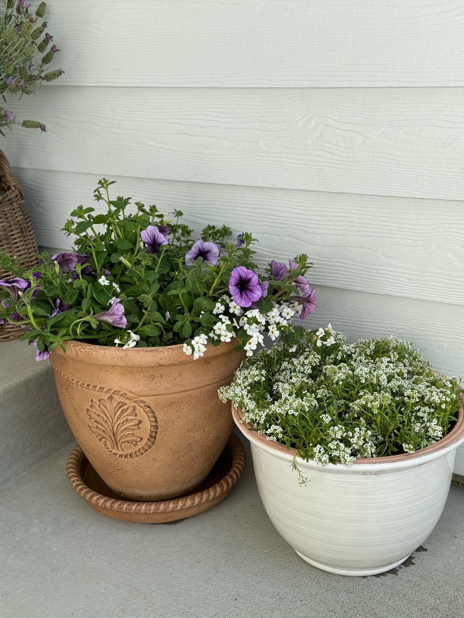 Just grabbed these planters from Home Depot to house the flowers I just got from Fred Meyer. Love how you can use a hanging basket and just remove the hanging part! Genius!

#LTKFindsUnder50 #LTKSeasonal