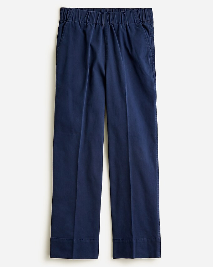 Astrid wide-leg chino pant | J. Crew US