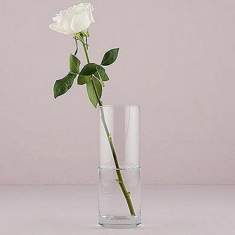 Libbey Clear Glass 9.5" Cylinder Floral Vase | Walmart (US)