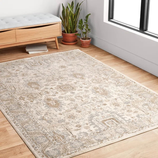 Sagefield Oriental Area Rug in Ivory/Beige/Gray/Charcoal | Wayfair North America