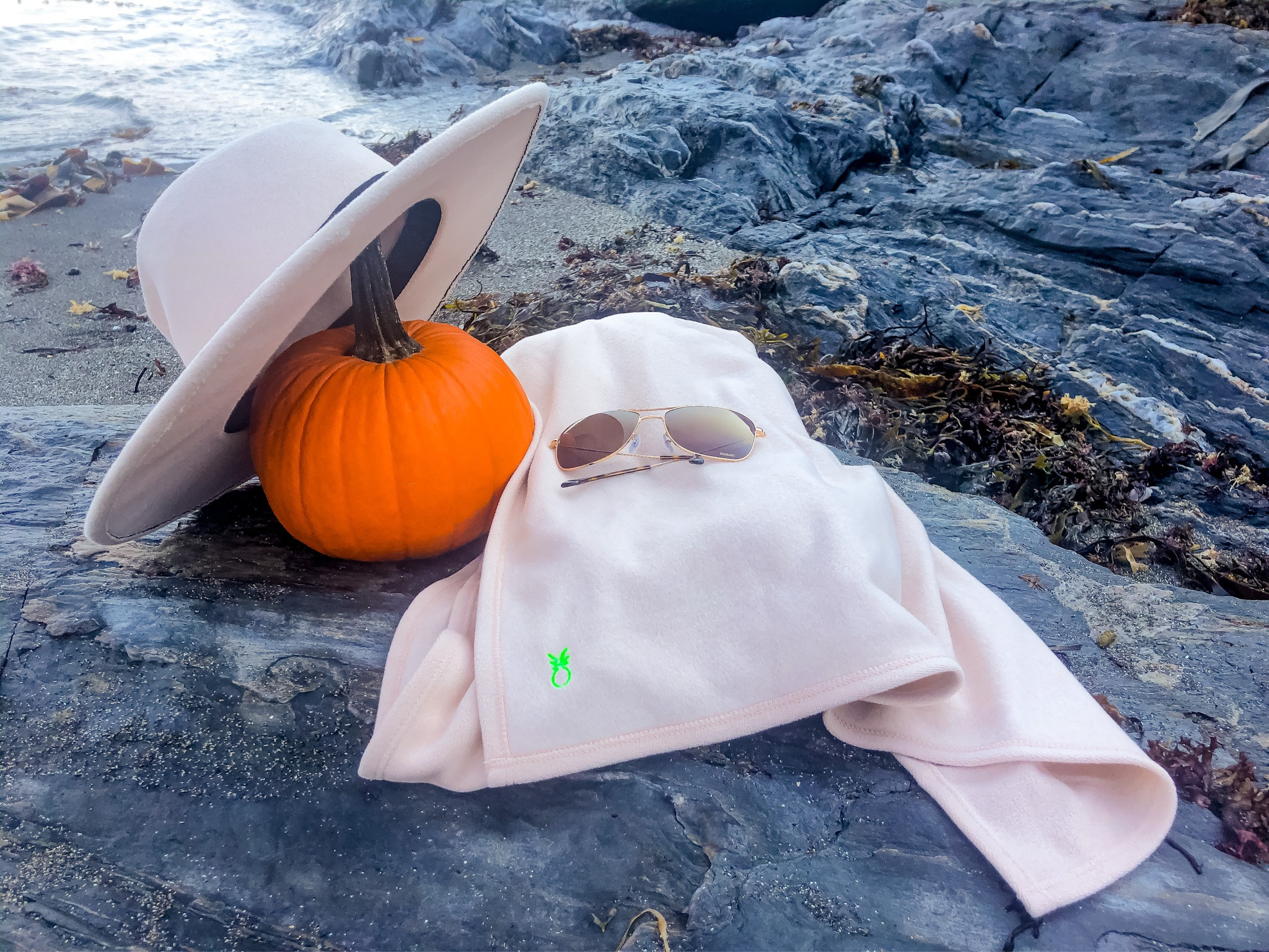 Fall essentials: a hat, scarf and ray bans are a must!

#LTKStyleTip #LTKTravel #LTKPetite