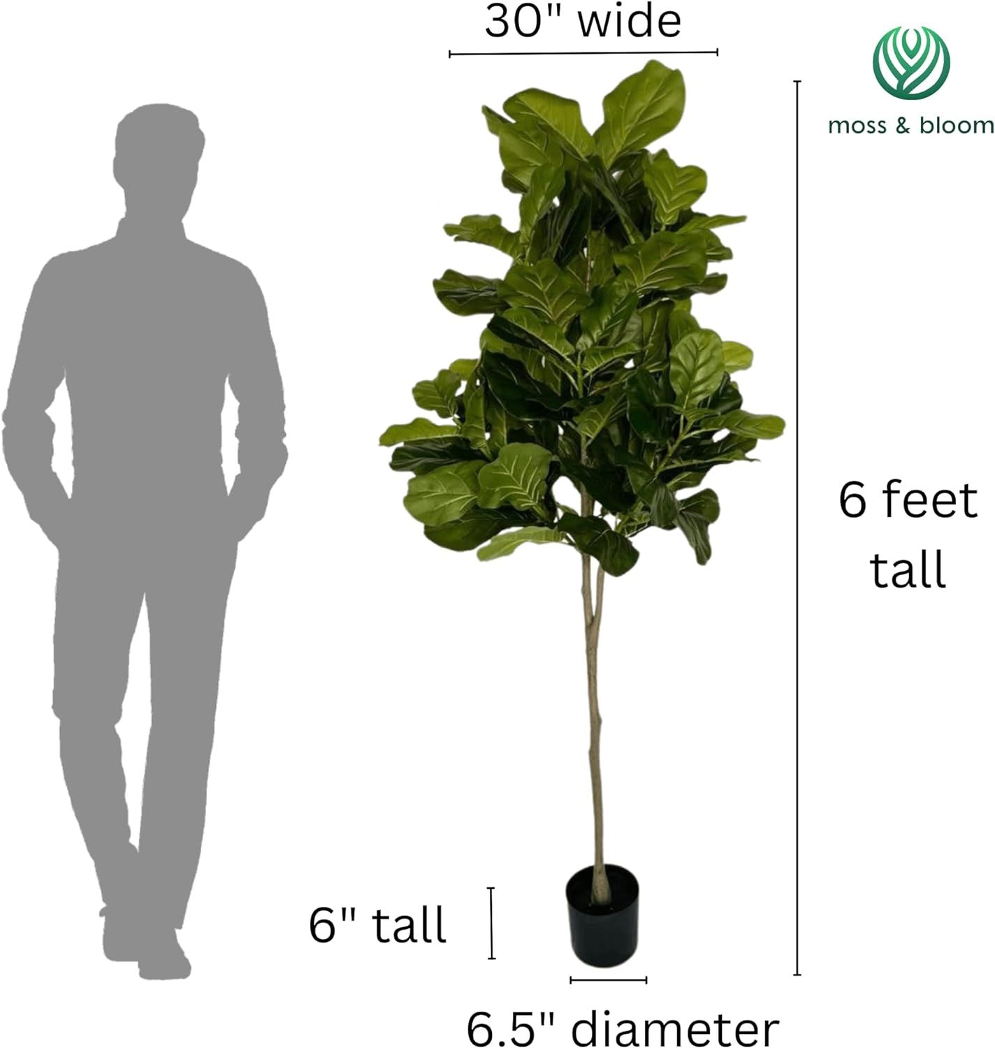 Moss and Bloom 6' Artificial Real Touch Fiddle Leaf Fig Tree | Amazon (US)