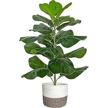 BESAMENATURE Artificial Fiddle Leaf Fig Tree/Faux Ficus Lyrata for Home Office Decoration, 30.5" ... | Amazon (US)