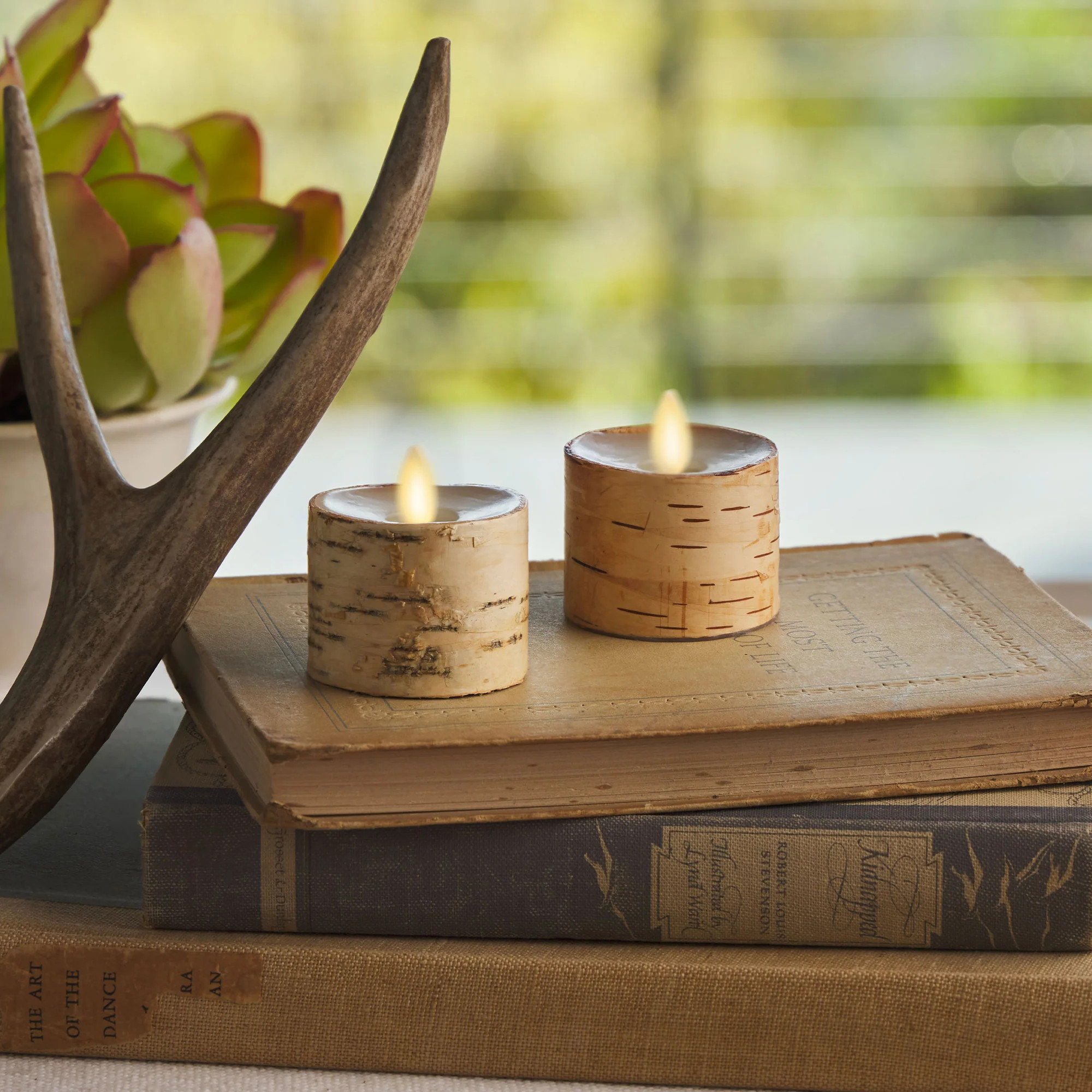 Real Birch Flameless Candle Tealights - Recessed Top - Set of 2 | Luminara