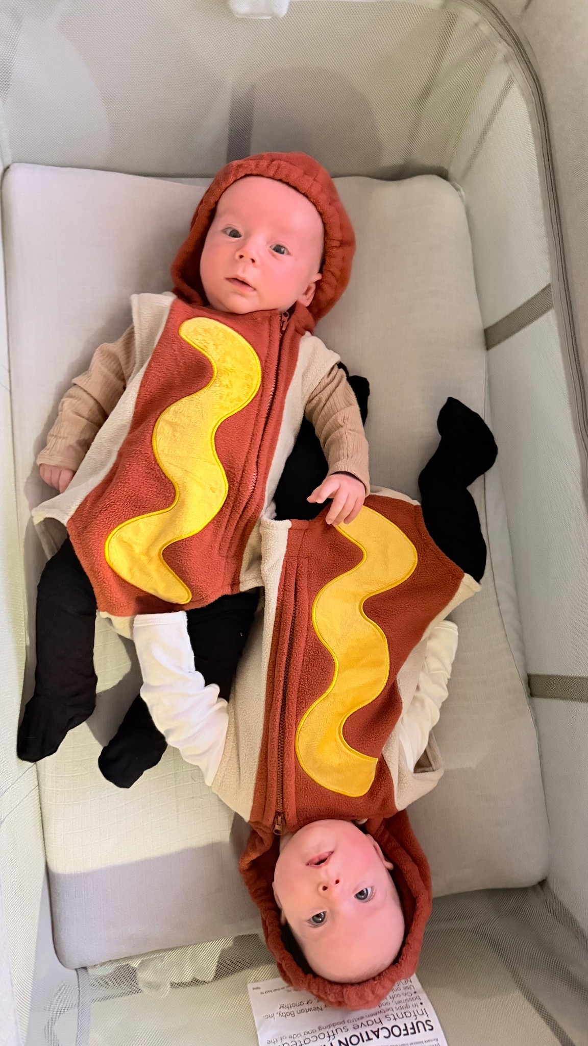 Baby’s first Halloween! These were the perfect costumes for the twins and kept them slightly warm? Definitely layer up if out in the cold. We did long sleeve onesies under the hot dogs and socks. Swapped the hoods for their pumpkin hats when the sun set. 

#LTKBaby #LTKHoliday #LTKSeasonal