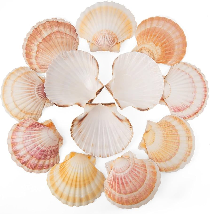 QEQEKAKA 10PCS Scallop Shells for Crafts 4-5" Sea Shells Yellow & Pink | Amazon (US)