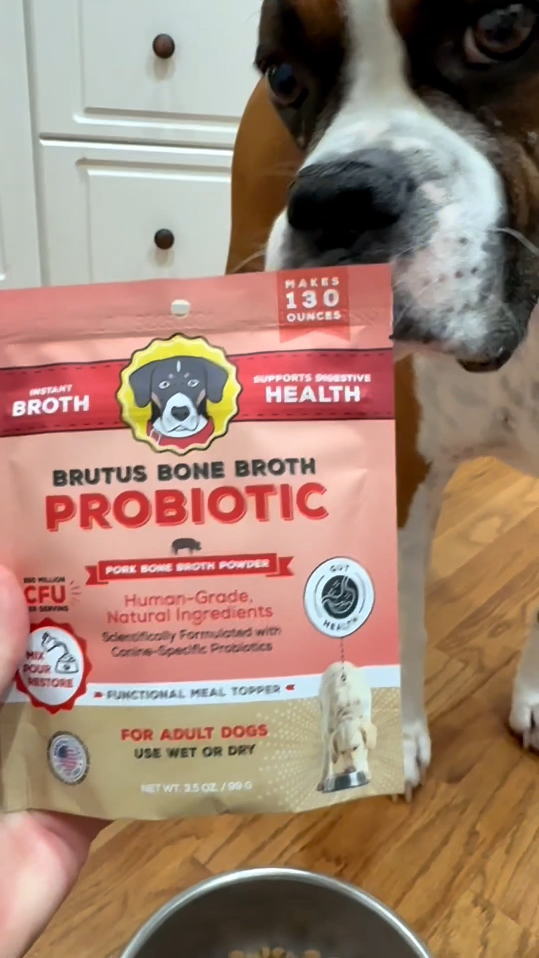 Thank you @Brutus Broth for Bruno’s Brutus Bone Broth Probiotic Meal Topper! 

You can make it a wet or dry food topper. Bruno liked it dry, and I’ll know he’ll love it mixed in as a wet meal topper.

He needs all of the help he can get with his gut health! 

As your package says “Real Love is Measured in Dog Years!”

#LTKdayinmylife #LTKmomlife #LTKHome