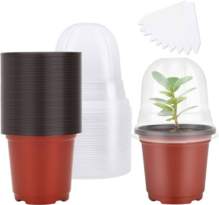 MIXC Plant Nursery Pots with Humidity Dome 4" Soft Transparent Plastic Gardening Pot Planting Con... | Amazon (US)