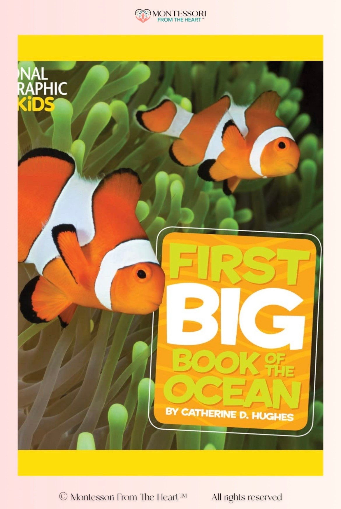 First Big Book of the Ocean

#LTKhome #LTKkids #LTKfamily