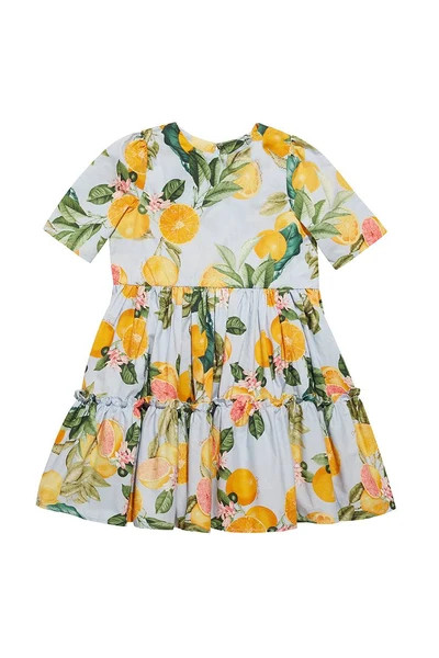 Margaux Dress | Cara Cara New York