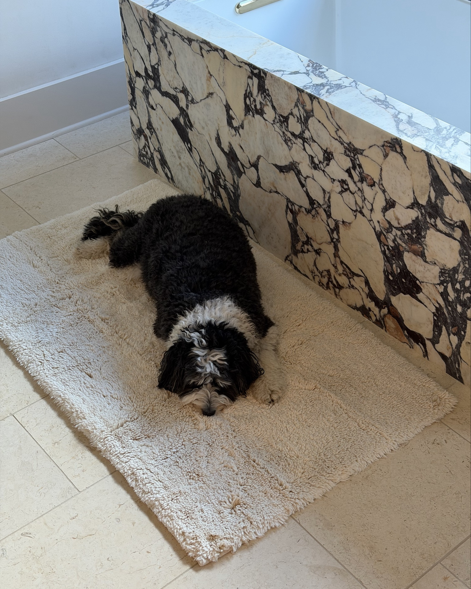 Bath mat and shower mat - I have the larger size for in front of my tub and the smaller size for in front of my shower