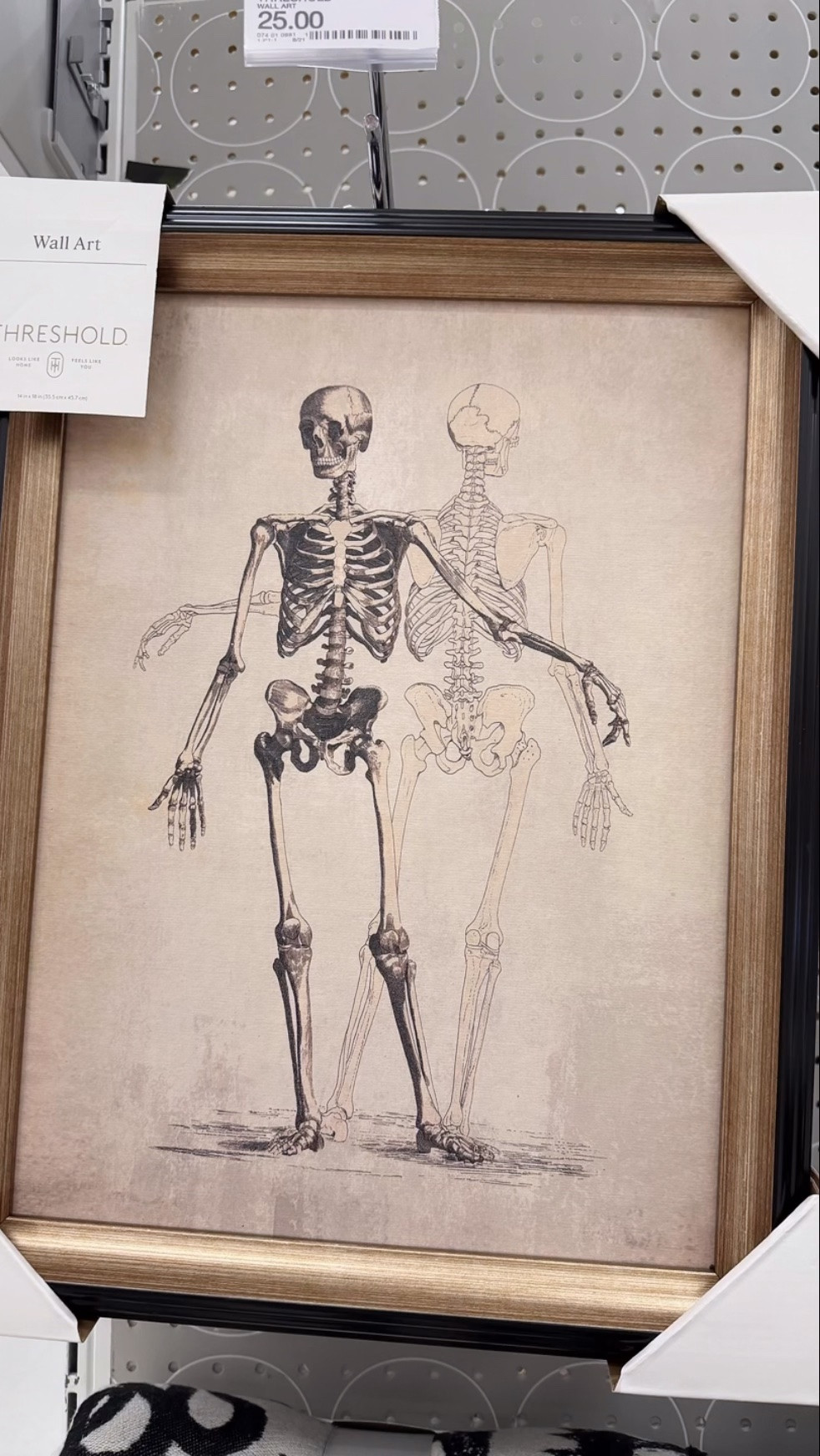 Target Halloween finds! 
Fall decor, skeletons, Halloween home

#LTKSeasonal