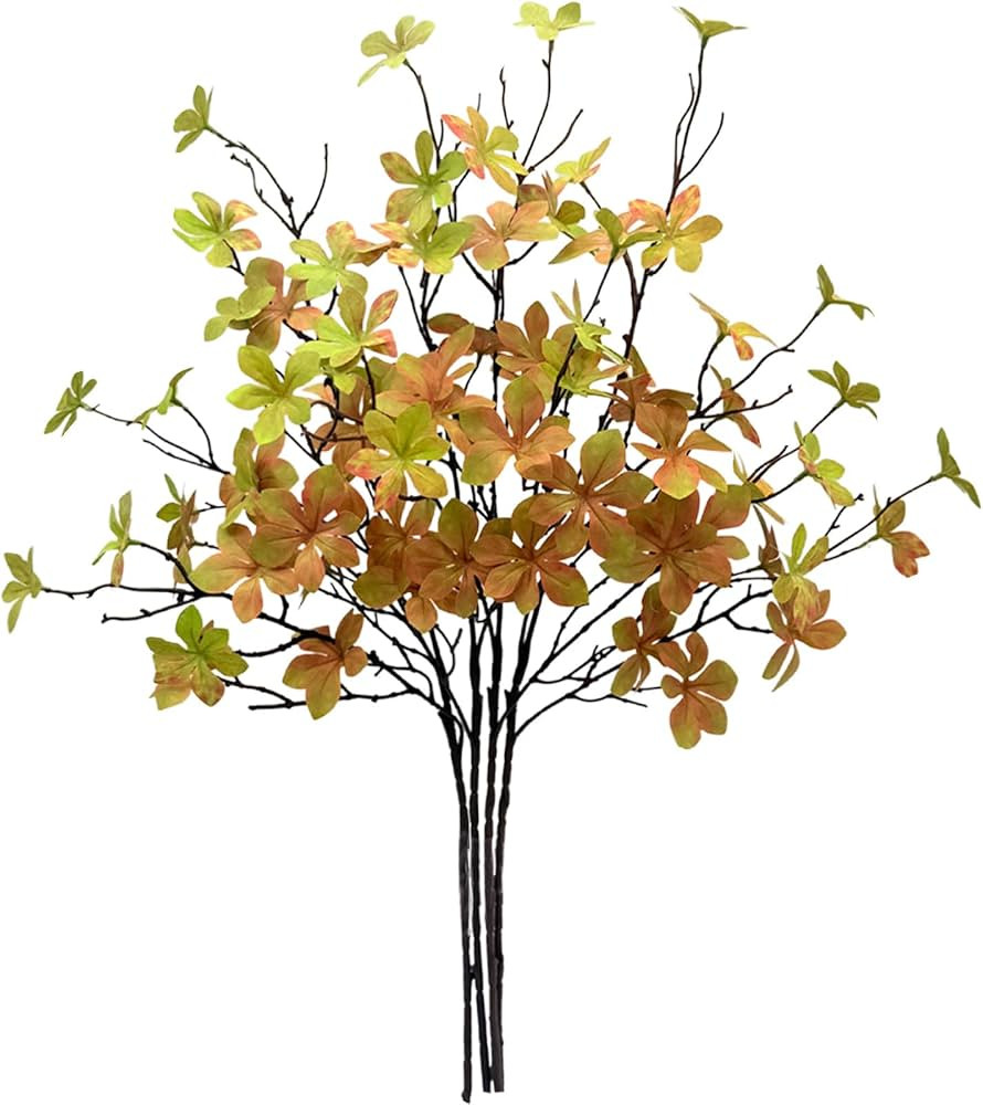 Autumn Green | Amazon (US)