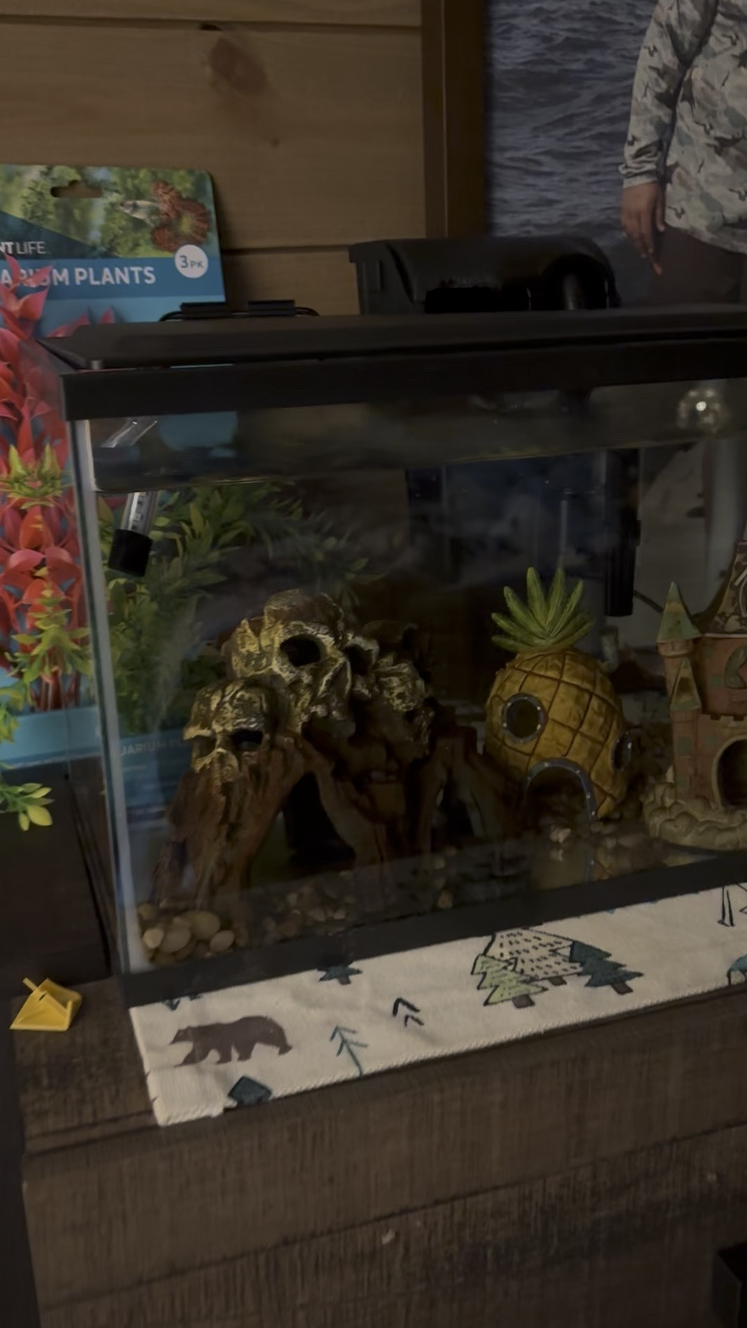 Grabbed a new fish tank and some new fake plants for the fish! Great upgrade because our other tank was 30 gallons and we only have 5 fish. This one is 5 gallons and the perfect size! We got it at Walmart for under $40. #ltkpets 

 #LTKGiftGuide #LTKmomlife #LTKHome