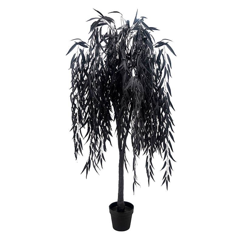 Southern Gothic Black Willow Tree in Pot, 60" | At Home