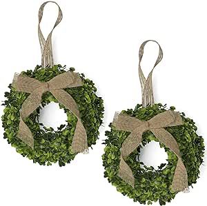 Barnyard Designs Set of 2 (8") Artificial Boxwood Wreaths with Burlap Ribbon, Decorative Indoor/O... | Amazon (US)